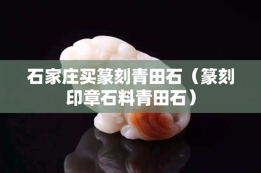 石家庄买篆刻青田石（篆刻印章石料青田石）