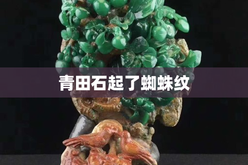 青田石起了蜘蛛纹