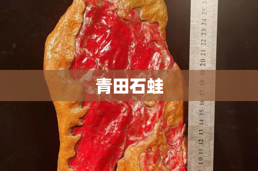 青田石蛙