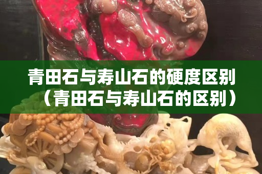青田石与寿山石的硬度区别（青田石与寿山石的区别）