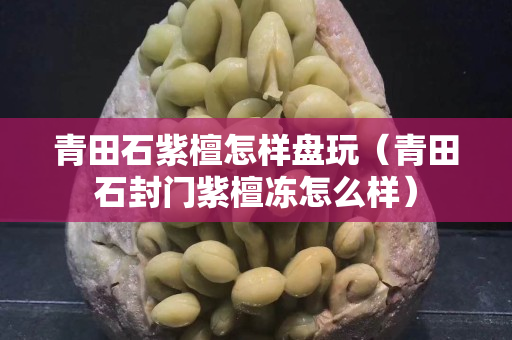 青田石紫檀怎样盘玩（青田石封门紫檀冻怎么样）