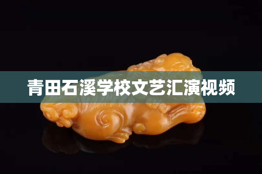青田石溪学校文艺汇演视频