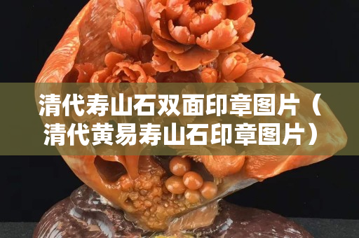 清代寿山石双面印章图片（清代黄易寿山石印章图片）