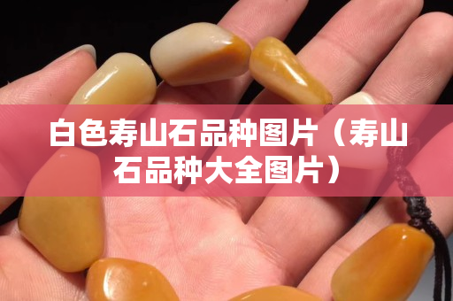 白色寿山石品种图片（寿山石品种大全图片）