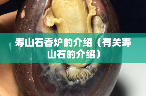 寿山石香炉的介绍（有关寿山石的介绍）