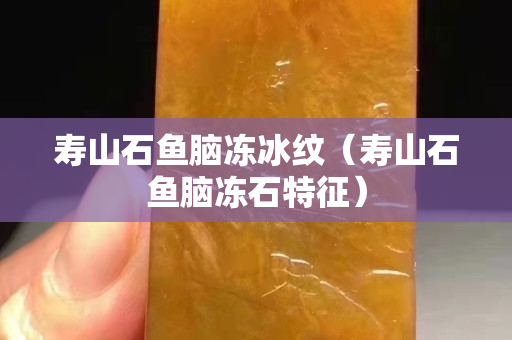 寿山石鱼脑冻冰纹（寿山石鱼脑冻石特征）