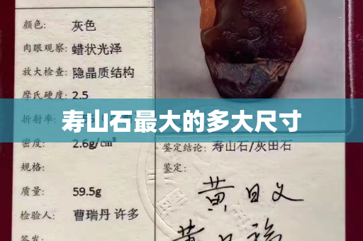 寿山石最大的多大尺寸