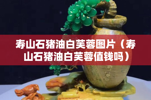 寿山石猪油白芙蓉图片（寿山石猪油白芙蓉值钱吗）