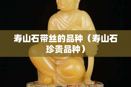 寿山石带丝的品种（寿山石珍贵品种）