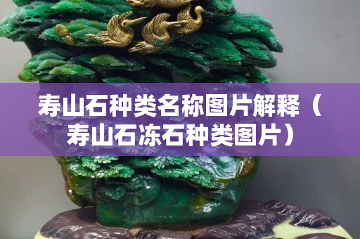 寿山石种类名称图片解释（寿山石冻石种类图片）