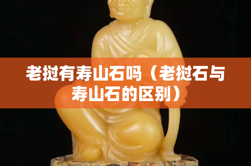 老挝有寿山石吗（老挝石与寿山石的区别）