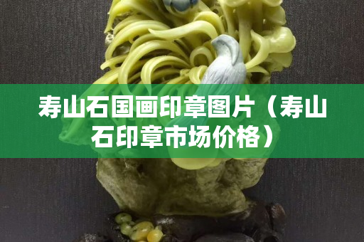 寿山石国画印章图片（寿山石印章市场价格）