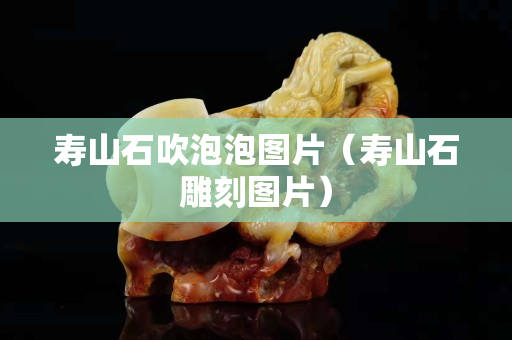 寿山石吹泡泡图片（寿山石雕刻图片）
