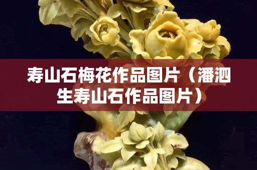 寿山石梅花作品图片（潘泗生寿山石作品图片）
