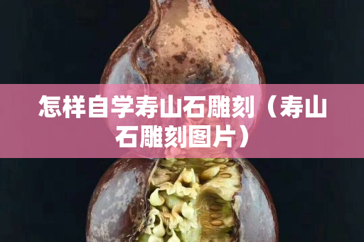 怎样自学寿山石雕刻（寿山石雕刻图片）