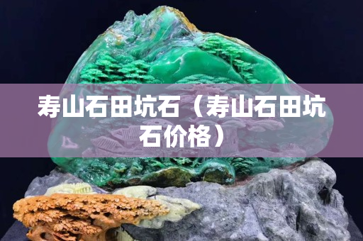 寿山石田坑石（寿山石田坑石价格）