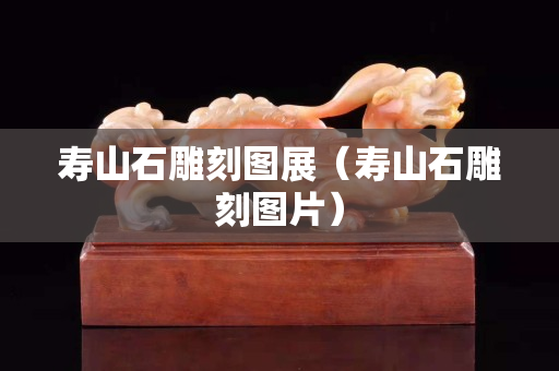 寿山石雕刻图展（寿山石雕刻图片）