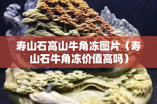 寿山石高山牛角冻图片（寿山石牛角冻价值高吗）