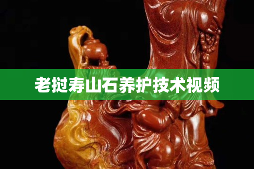 老挝寿山石养护技术视频