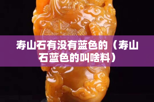 寿山石有没有蓝色的（寿山石蓝色的叫啥料）