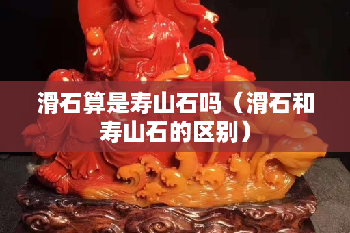滑石算是寿山石吗（滑石和寿山石的区别）