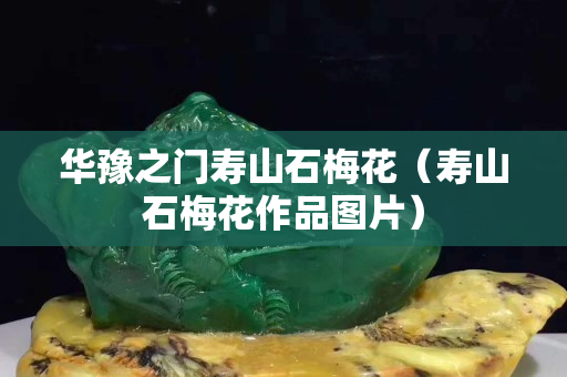 华豫之门寿山石梅花（寿山石梅花作品图片）