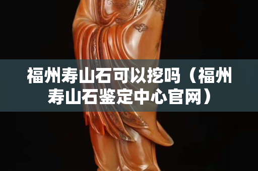 福州寿山石可以挖吗（福州寿山石鉴定中心官网）