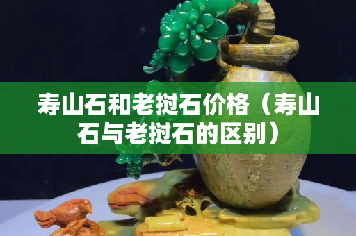 寿山石和老挝石价格（寿山石与老挝石的区别）
