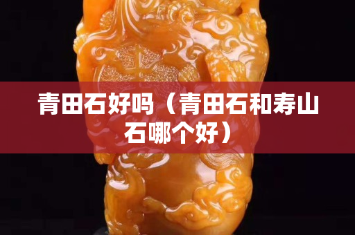 青田石好吗（青田石和寿山石哪个好）