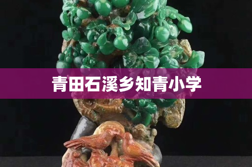 青田石溪乡知青小学