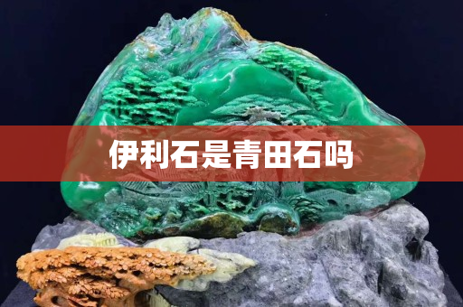 伊利石是青田石吗