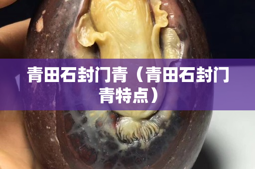 青田石封门青（青田石封门青特点）