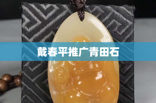 戴春平推广青田石