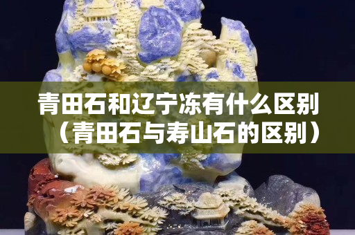 青田石和辽宁冻有什么区别（青田石与寿山石的区别）