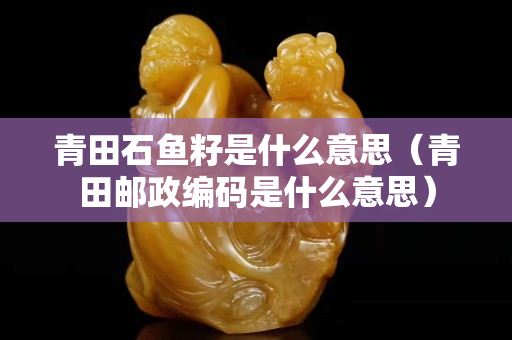 青田石鱼籽是什么意思（青田邮政编码是什么意思）