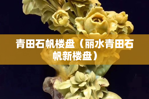 青田石帆楼盘（丽水青田石帆新楼盘）