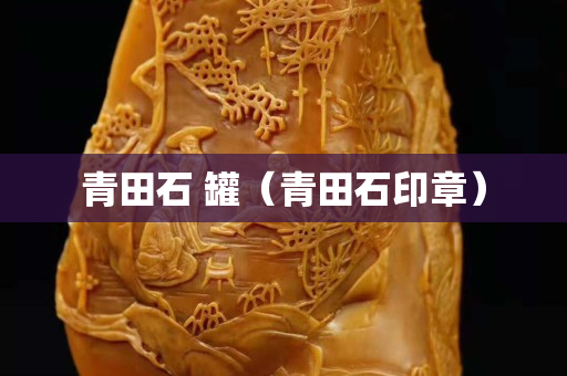 青田石 罐（青田石印章）