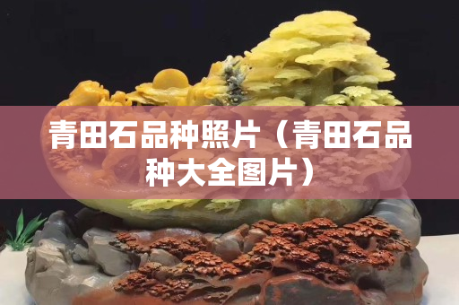 青田石品种照片（青田石品种大全图片）
