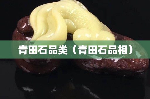 青田石品类（青田石品相）