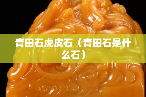 青田石虎皮石（青田石是什么石）