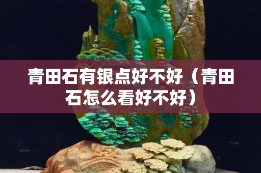 青田石有银点好不好（青田石怎么看好不好）
