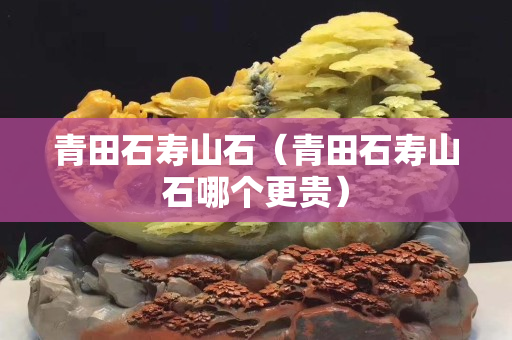 青田石寿山石（青田石寿山石哪个更贵）
