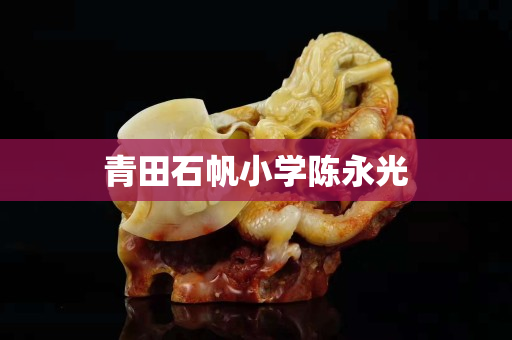青田石帆小学陈永光