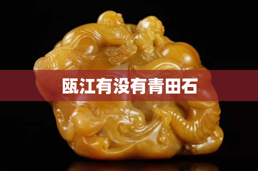 瓯江有没有青田石