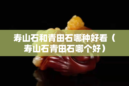 寿山石和青田石哪种好看（寿山石青田石哪个好）