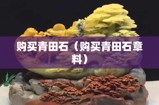 购买青田石（购买青田石章料）