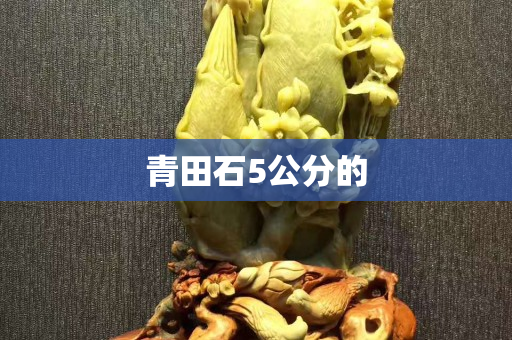 青田石5公分的