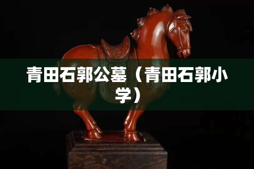 青田石郭公墓（青田石郭小学）