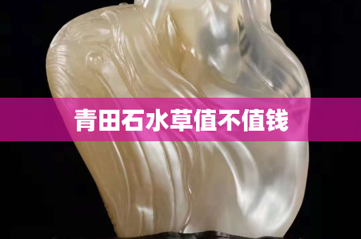 青田石水草值不值钱