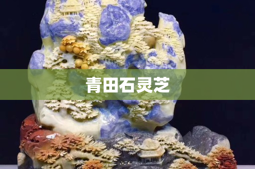 青田石灵芝